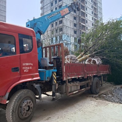 8-12噸隨車吊